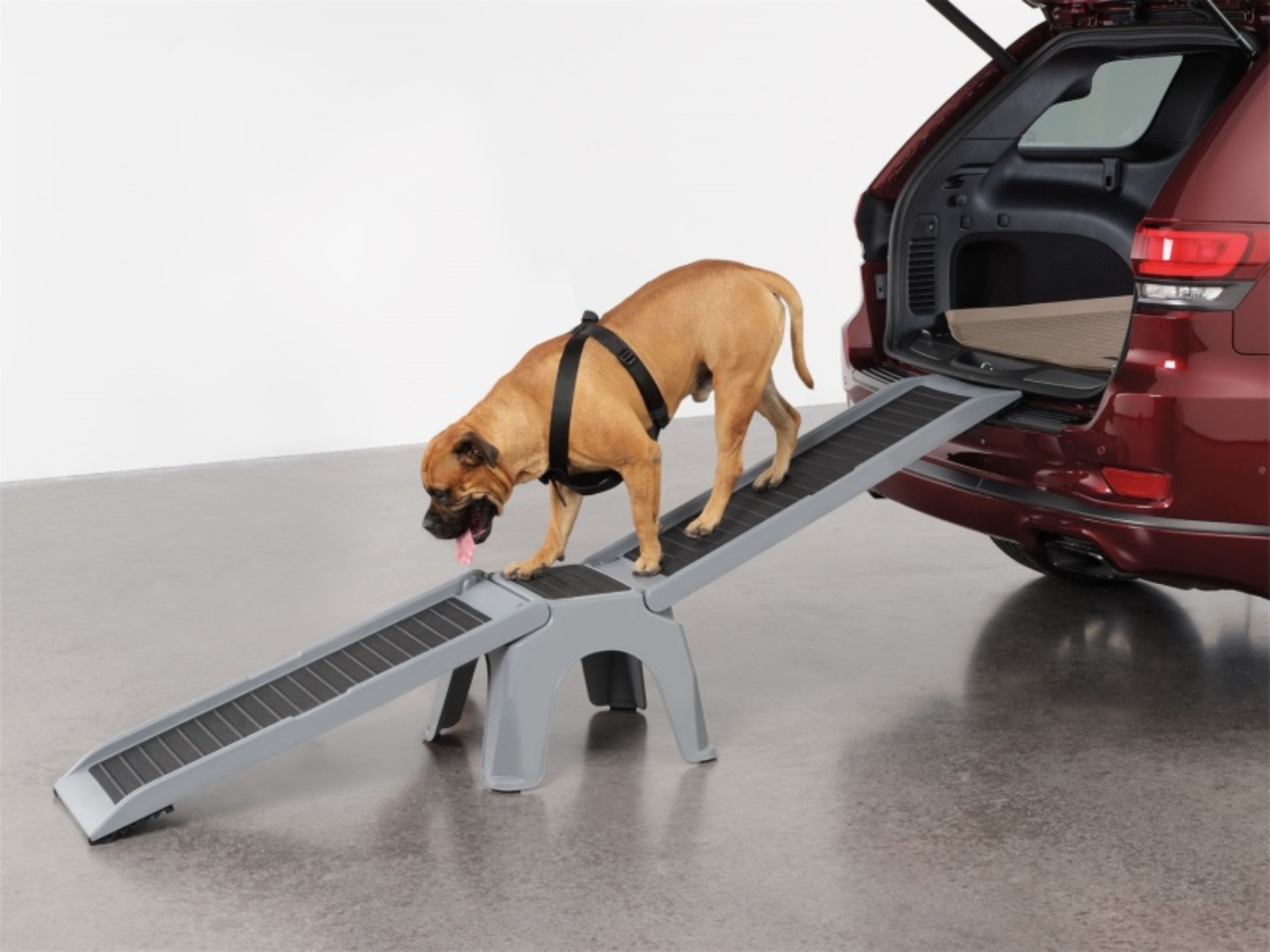 Picture of WeatherTech WT Pet Step Tools - 8A1EZRAMP