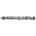 Picture of CAMSHAFT, GM 6.6L DURAMAX, 244 LST R105