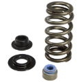 Picture of VALVE SPRING KIT, 2001-2005 6. 6L GM DURAMAX