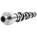 Picture of CAMSHAFT, GM 6.6L DURAMAX, 244 LST R105