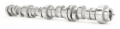 Picture of CAMSHAFT, CHEVY GEN 5 LT1 6.2L VVT, SINGLE BOLT, DIRECT INJ