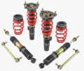 Picture of Skunk2 Racing SK Pro-ST Coilovers - 541-05-8780