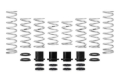 Picture of Eibach EIB Pro-UTV Kits Suspension Packages - E85-209-010-03-22
