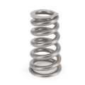 Picture of CONICAL VALVESPRING, 1.332"