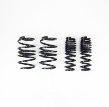 Picture of RS-R RSR Super Down Springs Lowering Springs - T215S