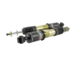 Picture of Skunk2 Racing SK Pro-ST Coilovers - 541-05-8770