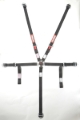 Picture of Racequip RQP 5pt Camlock Seat Belts Seat Belts & Harnesses - 739009