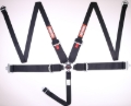 Picture of Racequip RQP 5pt Camlock Seat Belts Seat Belts & Harnesses - 745005