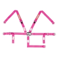 Picture of Racequip RQP 5pt Harnesses Seat Belts & Harnesses - 709089
