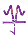 Picture of Racequip RQP 5pt Harnesses Seat Belts & Harnesses - 711051