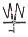 Picture of Racequip RQP 5pt Harnesses Seat Belts & Harnesses - 717007