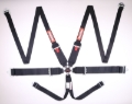 Picture of Racequip RQP 6pt Camlock Harnesses Seat Belts & Harnesses - 746006