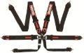 Picture of Racequip RQP 6pt Camlock Harnesses Seat Belts & Harnesses - 851001