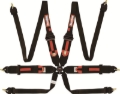Picture of Racequip RQP 6pt Camlock Harnesses Seat Belts & Harnesses - 854004