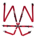Picture of Racequip RQP 6pt Camlock Harnesses Seat Belts & Harnesses - 856016