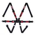Picture of Racequip RQP 6pt Camlock Harnesses Seat Belts & Harnesses - 857007