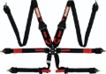 Picture of Racequip RQP 6pt Camlock Harnesses Seat Belts & Harnesses - 855005