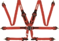 Picture of Racequip RQP 6pt Camlock Harnesses Seat Belts & Harnesses - 855015