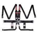 Picture of Racequip RQP 6pt Harnesses Seat Belts & Harnesses - 718008