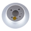 Picture of PowerStop PSB Evolution Coated Rotor Brake Rotors - EBR220EVC