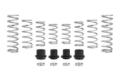 Picture of Eibach EIB Pro-UTV Kits Suspension Packages - E85-209-008-02-22
