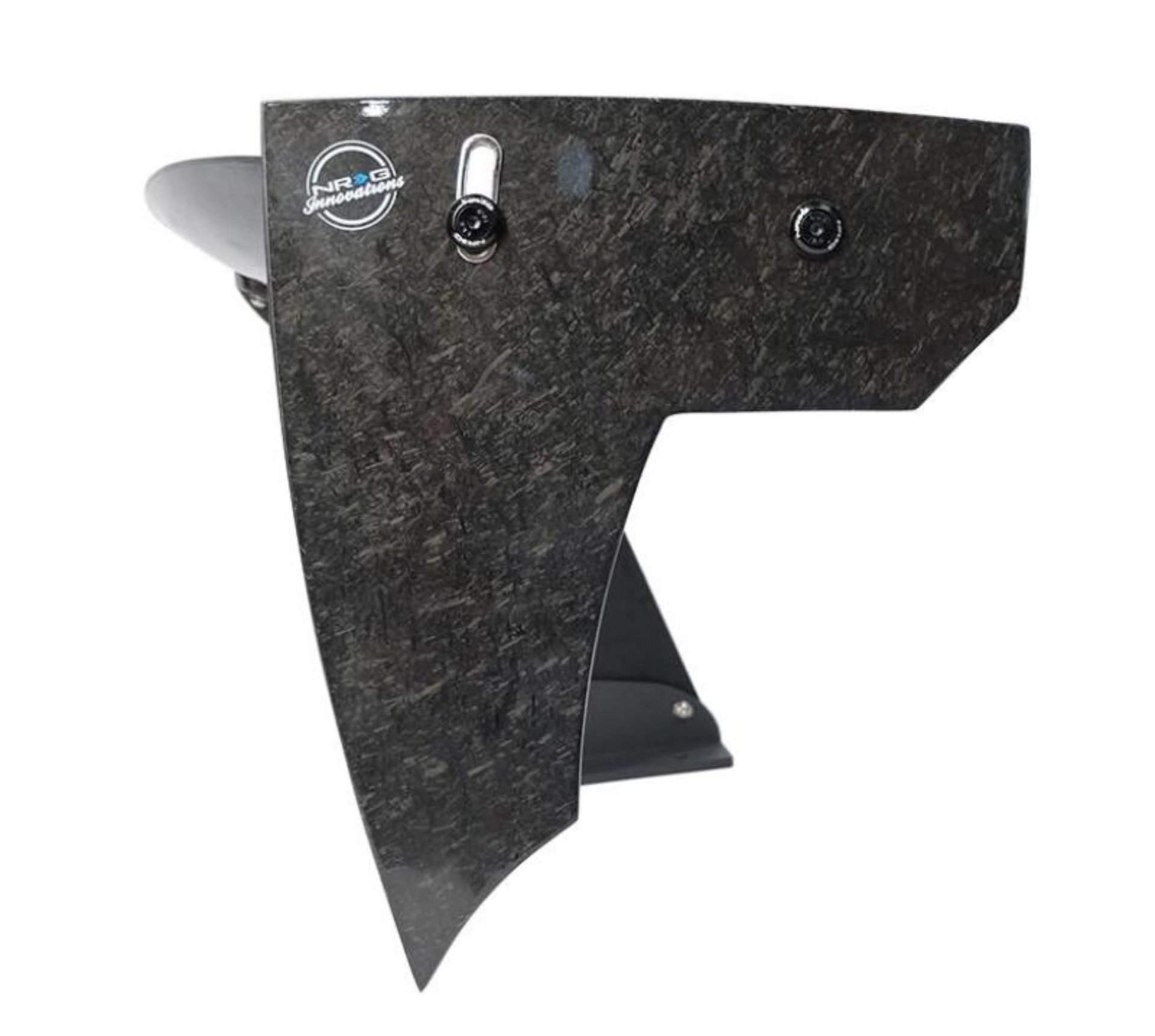 Picture of NRG Carbon Trim Pieces Carbon Accessories - CARB-P591NRG