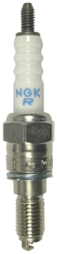 Picture of NGK Traditional Spark Plugs - 5869