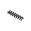 Picture of B3 OE Replacement - Coil Spring