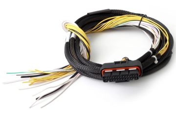Picture of Haltech HAL Flying Lead Harnesses Wiring Harnesses - HT-040025