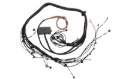 Picture of Haltech HAL Elite 2000/2500 Term Harns Wiring Harnesses - HT-130318