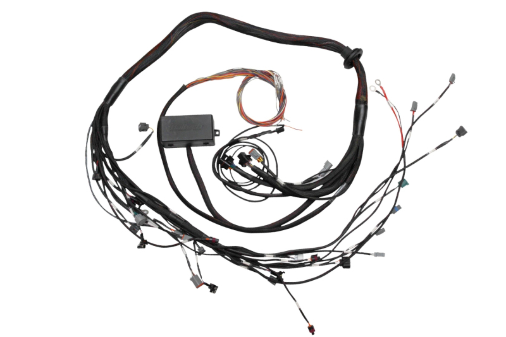 Picture of Haltech HAL Elite 2000/2500 Term Harns Wiring Harnesses - HT-130318