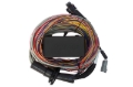 Picture of Haltech HAL Elite 750 Wire-In Harnesses Wiring Harnesses - HT-140604