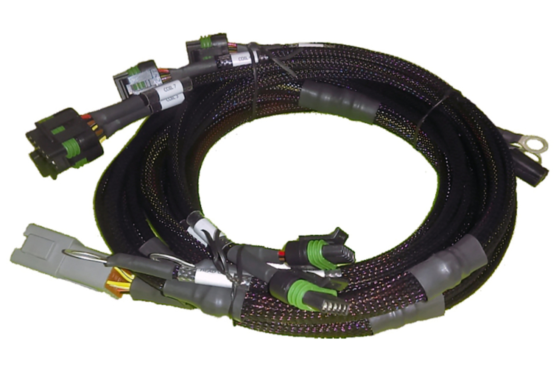 Picture of Haltech HAL Inductive Coil Harnesses Wiring Harnesses - HT-130306