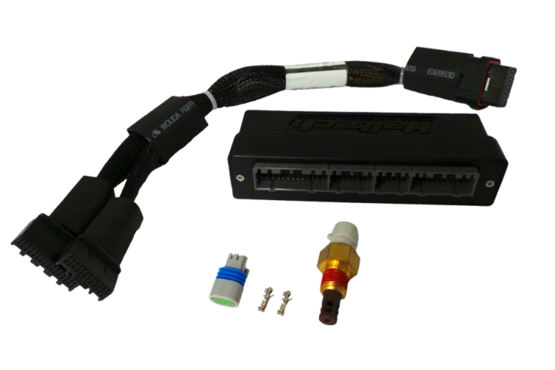 Picture of Haltech HAL Elite 750 Adaptor Harns Wiring Harnesses - HT-140647