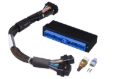 Picture of Haltech HAL Elite 1000/1500 Adpt Harns Wiring Harnesses - HT-140850