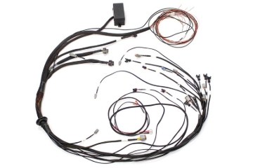 Picture of Haltech HAL Elite 1000 Term Harnesses Wiring Harnesses - HT-140878