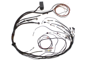 Picture of Haltech HAL Elite 1000 Term Harnesses Wiring Harnesses - HT-140882