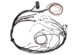 Picture of Haltech HAL Elite 1000 Term Harnesses Wiring Harnesses - HT-140879