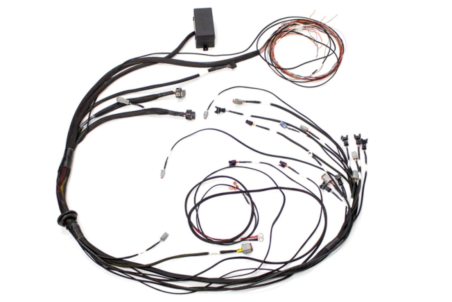 Picture of Haltech HAL Elite 1000 Term Harnesses Wiring Harnesses - HT-140879