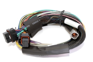 Picture of Haltech HAL Elite 2500 Wire-In Harnesses Wiring Harnesses - HT-141302