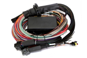 Picture of Haltech HAL Elite 2500 Wire-In Harnesses Wiring Harnesses - HT-141304