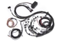 Picture of Haltech HAL Elite 2500 Term Harnesses Wiring Harnesses - HT-141388