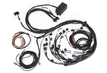 Picture of Haltech HAL Elite 2500 Term Harnesses Wiring Harnesses - HT-141388