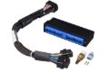 Picture of Haltech HAL Elite 2000/2500 Adpt Harns Wiring Harnesses - HT-141259