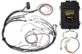 Picture of Haltech HAL Elite 1500 ECU & Kits Programmers & Tuners - HT-150975