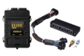 Picture of Haltech HAL Elite 1500 ECU & Kits Programmers & Tuners - HT-150942