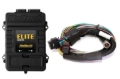 Picture of Haltech HAL Elite 2500 ECU & Kits Programmers & Tuners - HT-151302