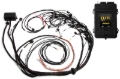 Picture of Haltech HAL Elite 2500 ECU & Kits Programmers & Tuners - HT-151368