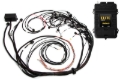 Picture of Haltech HAL Elite 2500 ECU & Kits Programmers & Tuners - HT-151369