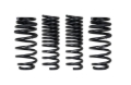 Picture of Pro-Kit Lowering Springs